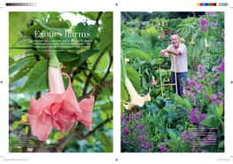 Exotic Charms He’S Italian, He’S Passionate, and for the Past 25 Years He Has Enjoyed a Love Affair with a Beautiful Angel – the Voluptuous Brugmansia