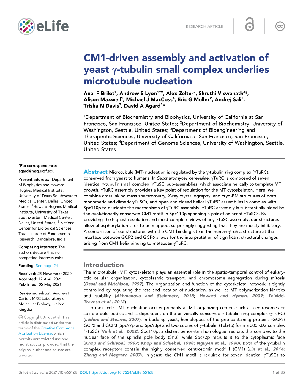 CM1-Driven Assembly and Activation of Yeast G-Tubulin Small Complex