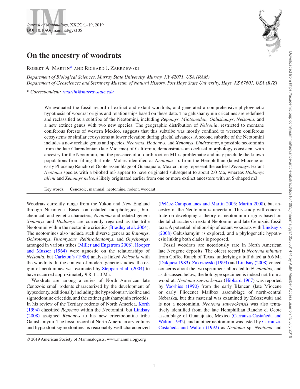 On the Ancestry of Woodrats