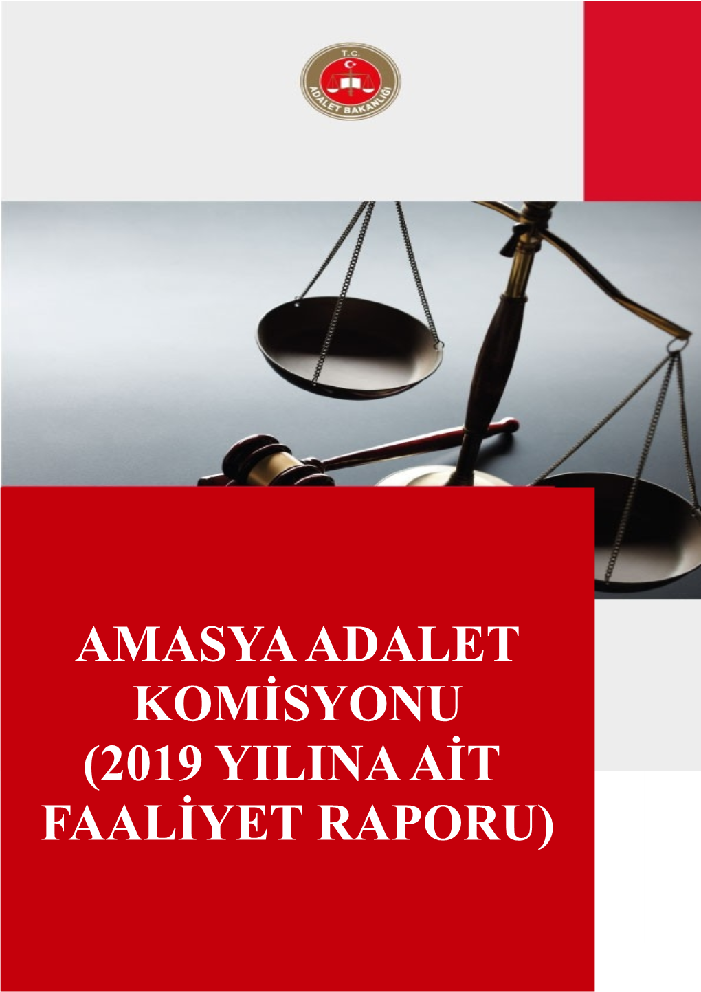 Amasya Adalet Komisyonu (2019 Yılına Ait Faaliyet Raporu)