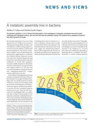 A Metabolic Assembly Line in Bacteria
