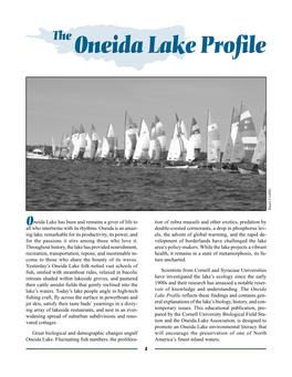 Oneida Lake Profile Stuart Crabbe