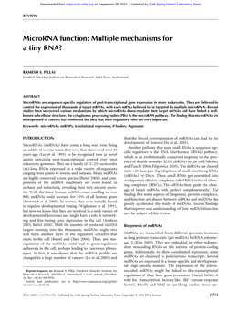 Microrna Function: Multiple Mechanisms for a Tiny RNA?