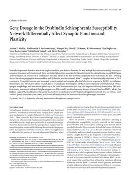 Gene Dosage in the Dysbindin Schizophrenia Susceptibility Network Differentially Affect Synaptic Function and Plasticity