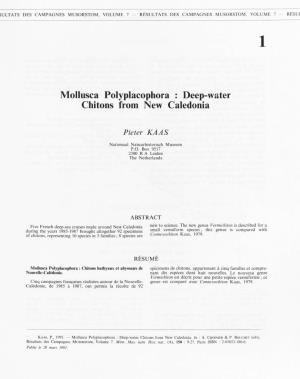 Mollusca Polyplacophora : Deep-Water Chitons from New Caledonia