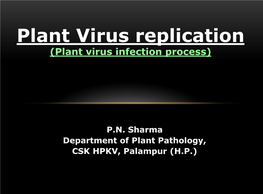 Plant Virus Replication (Plant Virus Infection Process)