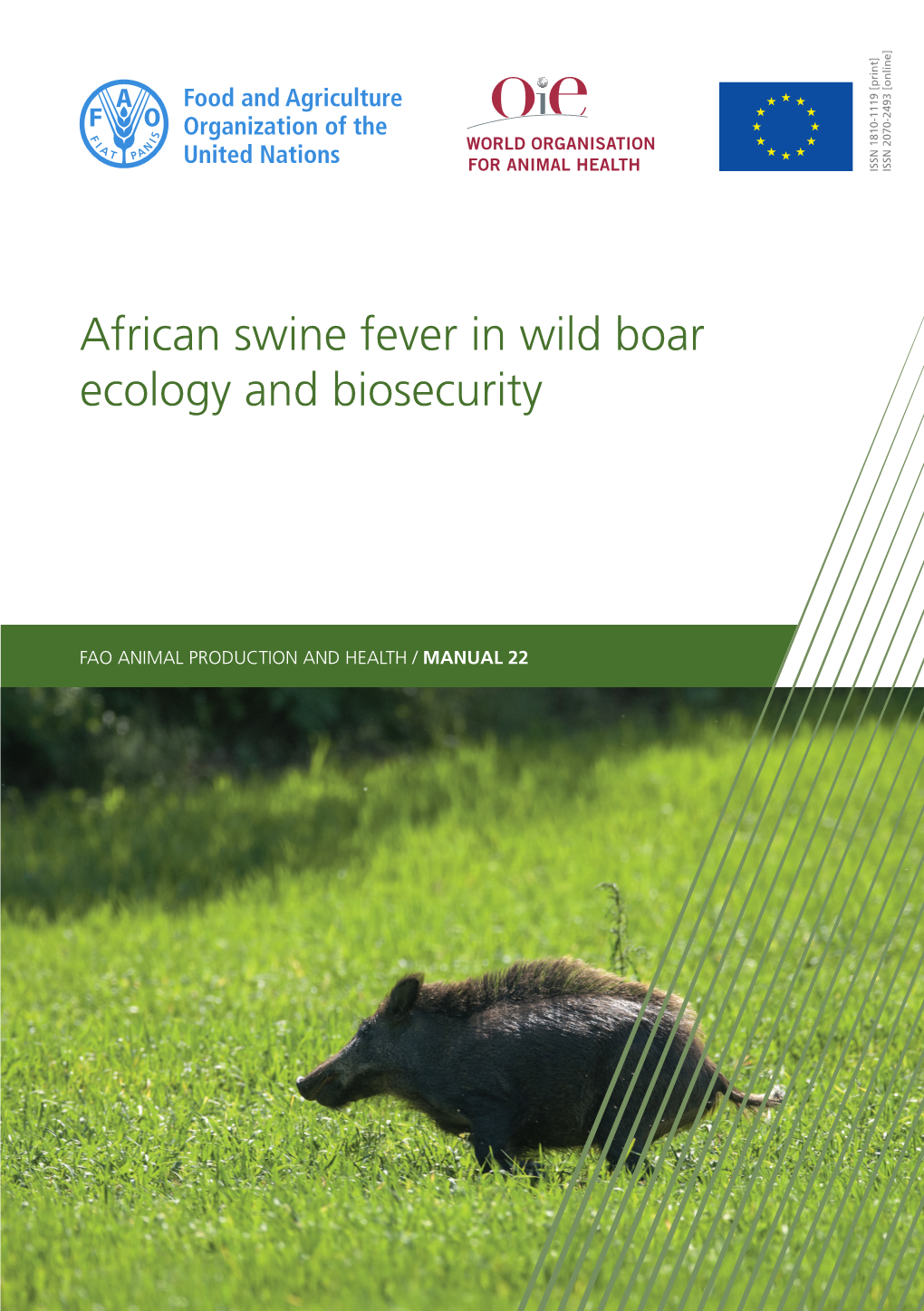 African Swine Fever in Wild Boar