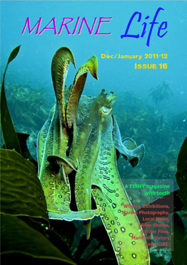 Marine Life Magazine Featuresfeatures Andand Creaturescreatures