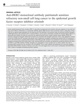Anti-HER3 Monoclonal Antibody Patritumab Sensitizes Refractory Non-Small Cell Lung Cancer to the Epidermal Growth Factor Receptor Inhibitor Erlotinib