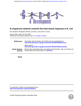 E. Coli a Chaperone Network Controls the Heat Shock Response In