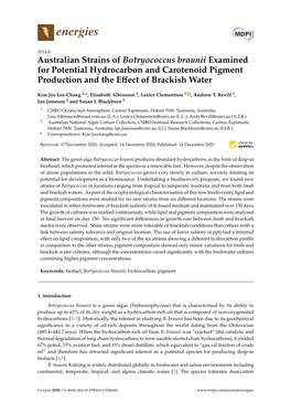 Australian Strains of Botryococcus Braunii Examined for Potential Hydrocarbon and Carotenoid Pigment Production and the Eﬀect of Brackish Water