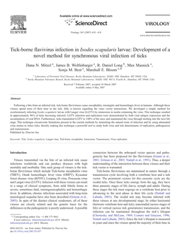 Tick-Borne Flavivirus Infection in Ixodes Scapularis Larvae: Development of a Novel Method for Synchronous Viral Infection of Ticks