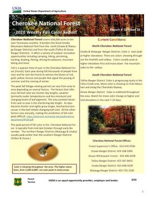 Cherokee National Forest Report 4: October 23 2020 Weekly Fall Color Report