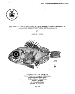 NOAA Technical Memorandum NMFS-SEFSC-439 PRELIMINARY