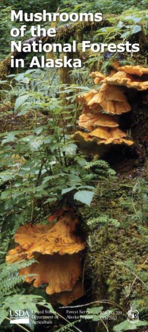 Mushrooms of the National Forests in Alaska