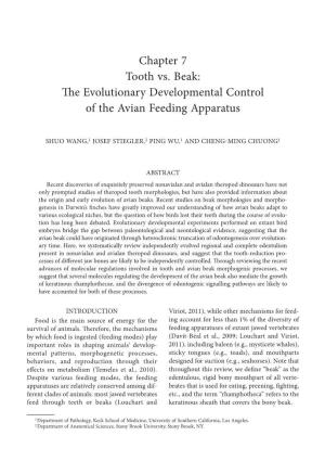 Chapter 7 Tooth Vs. Beak: the Evolutionary Developmental Control of the Avian Feeding Apparatus