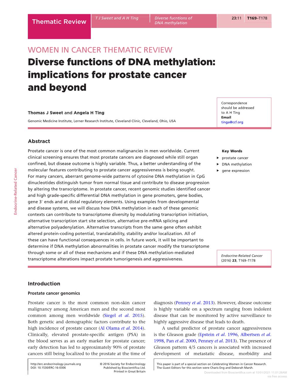 Diverse Functions of DNA Methylation: Implications for Prostate Cancer and Beyond