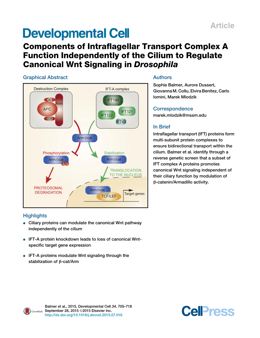 Components of Intraflagellar Transport Complex a Function