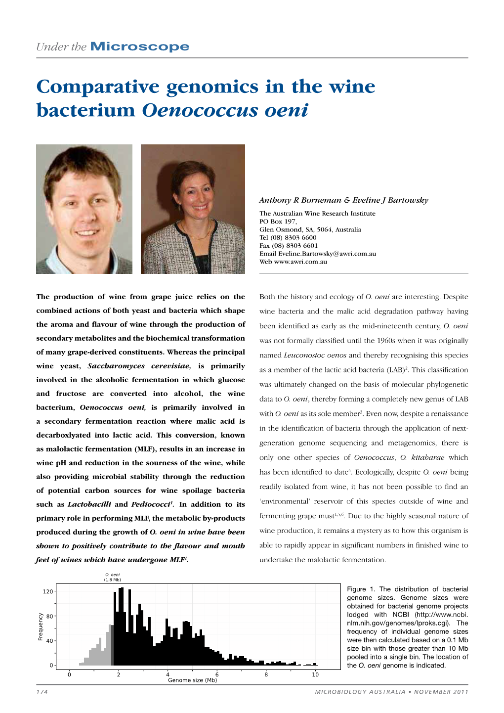 Comparative Genomics in the Wine Bacterium Oenococcus Oeni