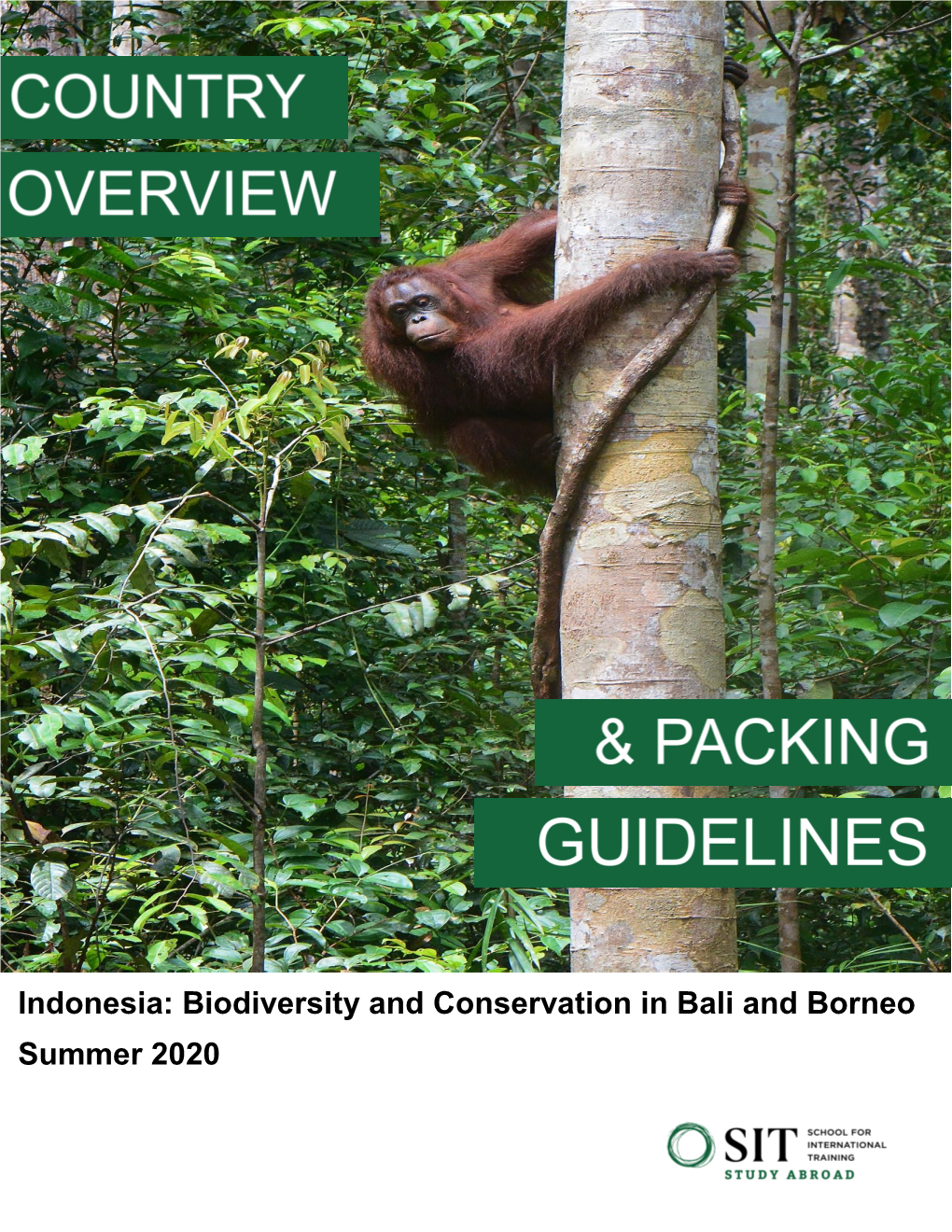 Indonesia: Biodiversity and Conservation in Bali and Borneo Summer 2020