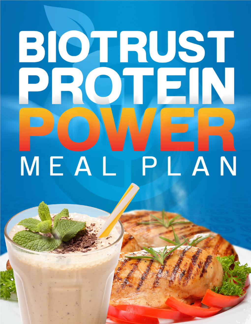 Protein Power Meal Plan