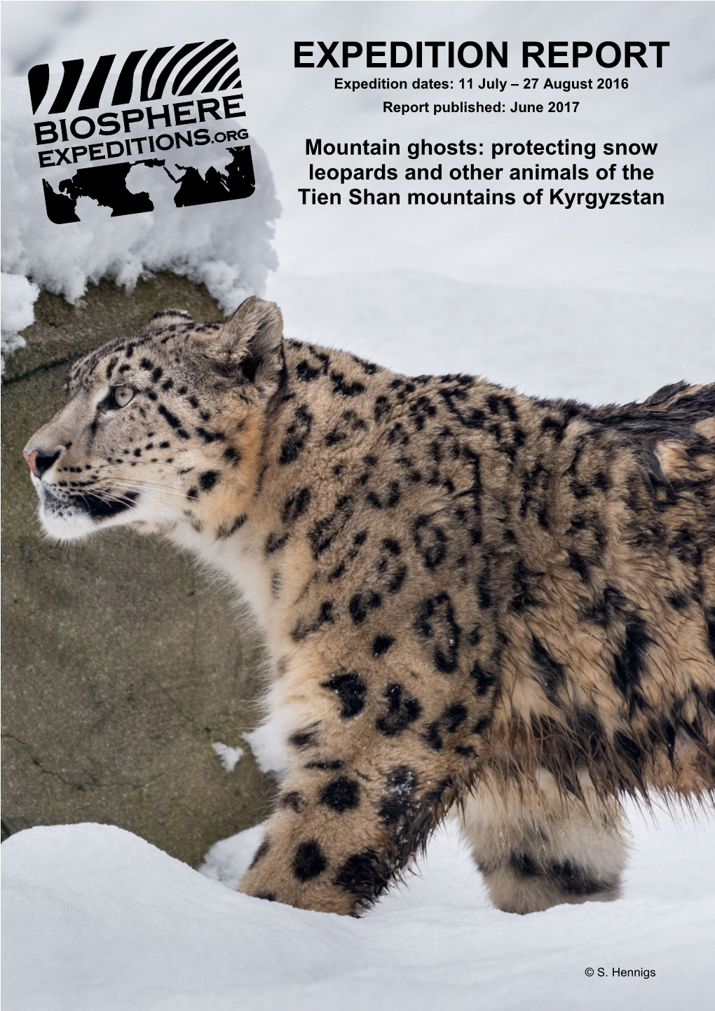 Tien Shan 2016 (Snow Leopard)