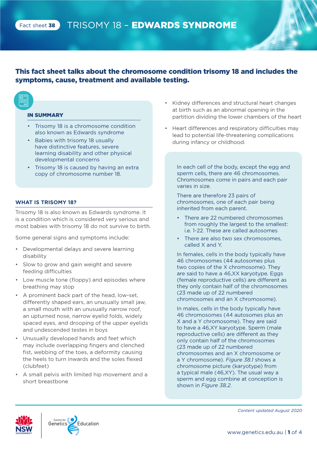 Trisomy 18 – Edwards Syndrome