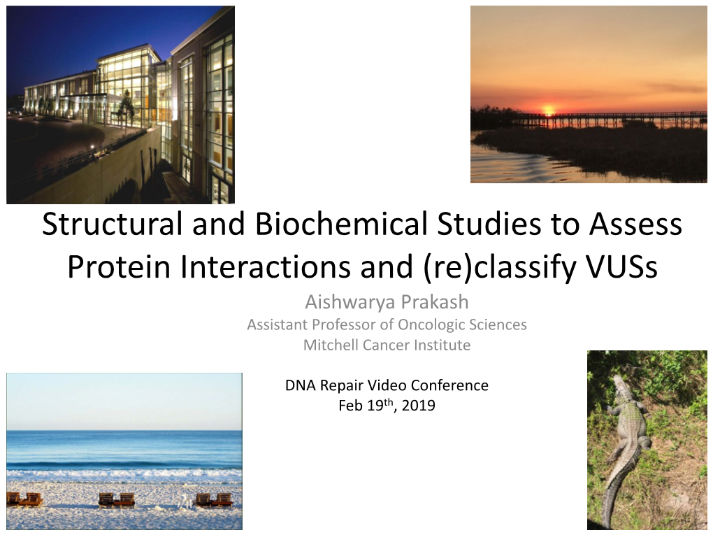 Structural and Biochemical Studies to Assess