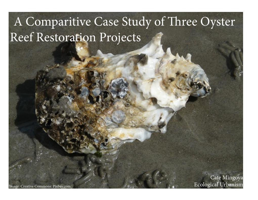 A Comparitive Case Study of Three Oyster Reef Restoration Projects