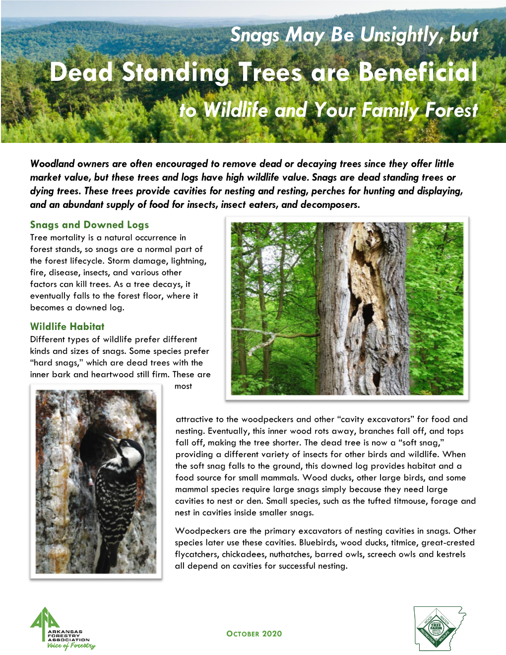 Snags May Be Unsightly, but Dead Standing Trees Are Beneficial to Wildlife and Your Family Forest