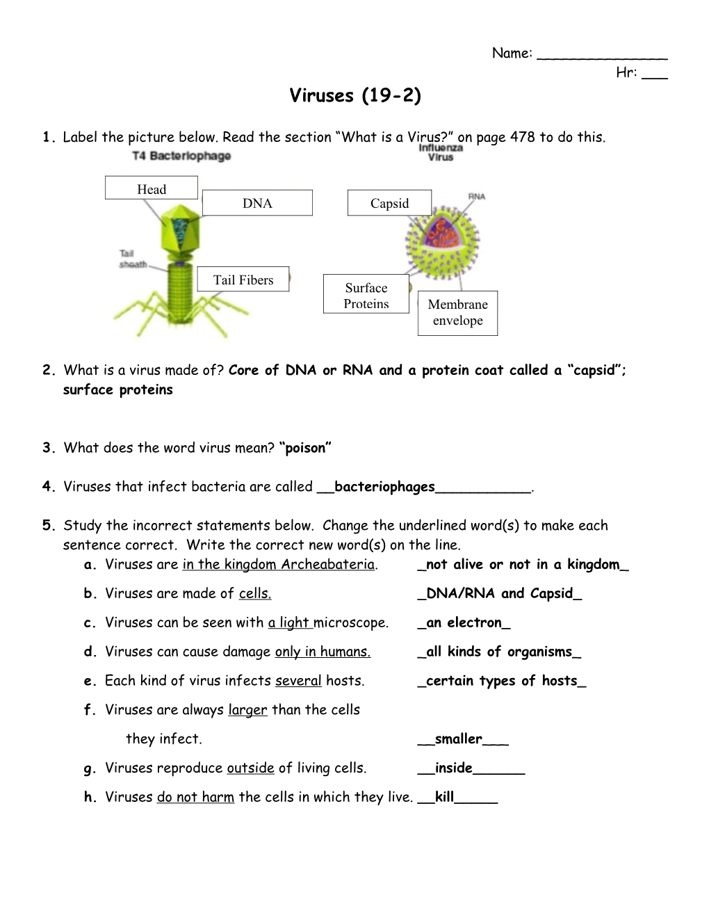 1. Label the Picture Below. Read the Section What Is a Virus? on Page 478 to Do This