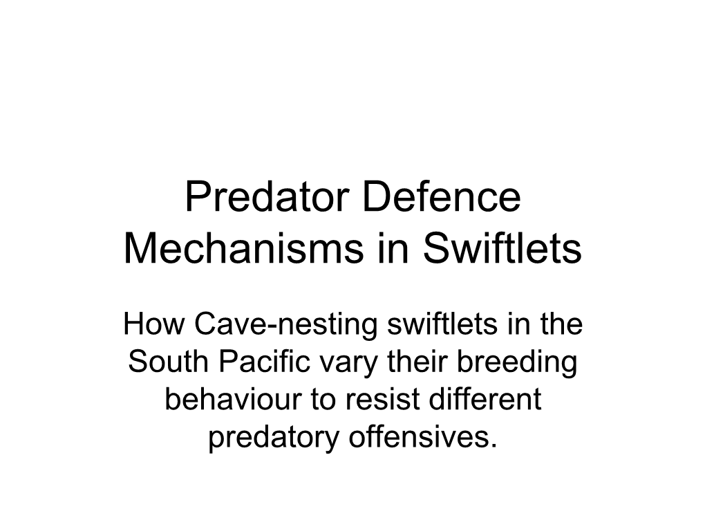 Predator Defence Mechanisms in Swiftlets