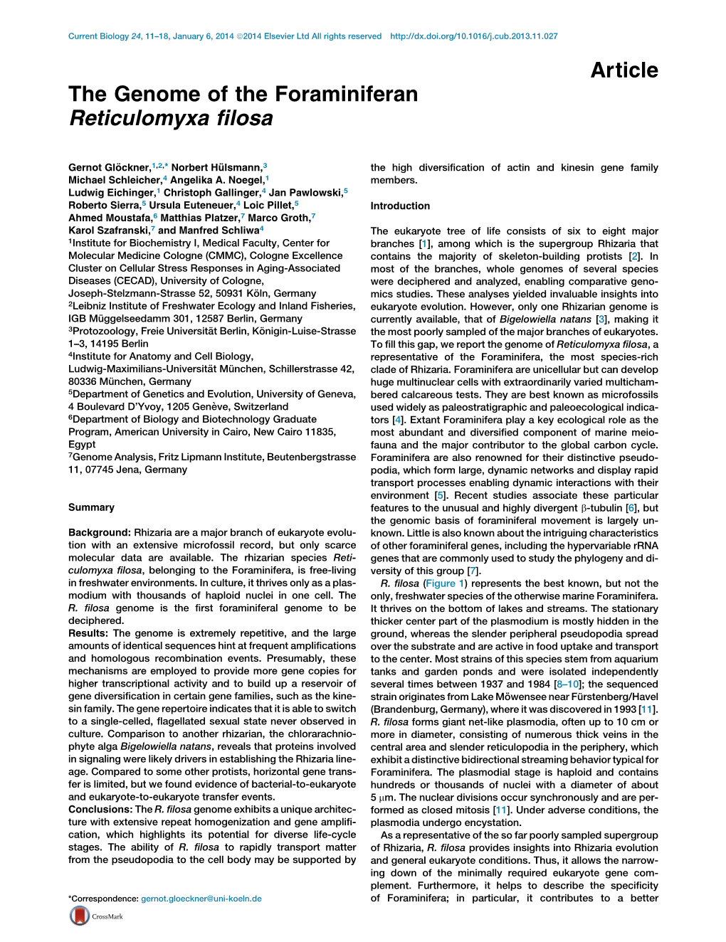 The Genome of the Foraminiferan Reticulomyxa Filosa