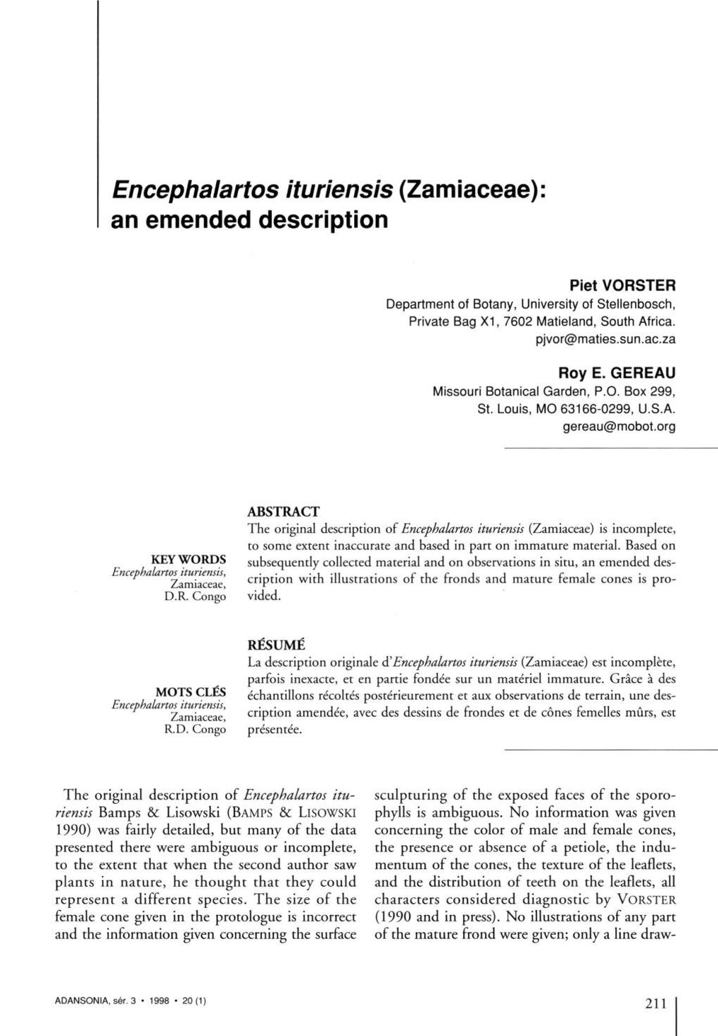 Encephalartos Ituriensis (Zamiaceae): an Emended Description