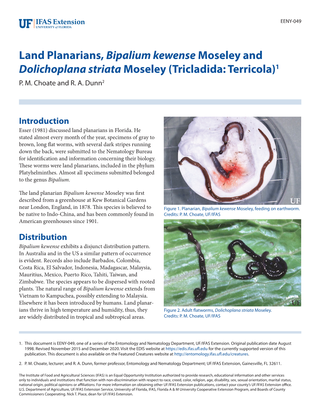 Land Planarians, Bipalium Kewense Moseley and Dolichoplana Striata Moseley (Tricladida: Terricola)1 P