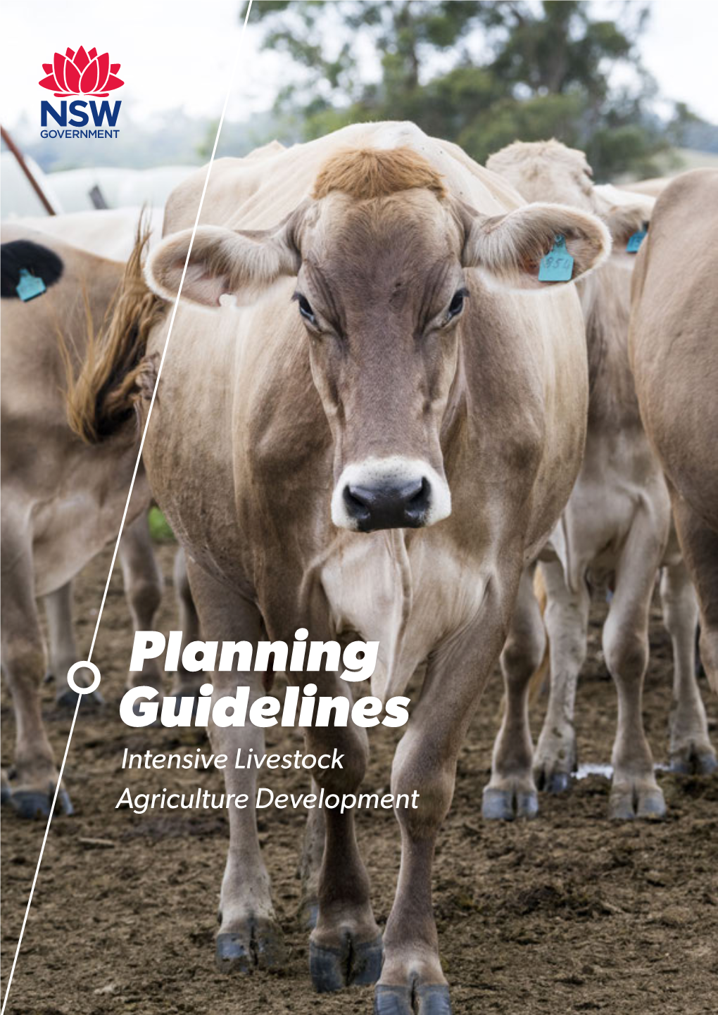 Planning Guidelines , Intensive Livestock Agriculture Development