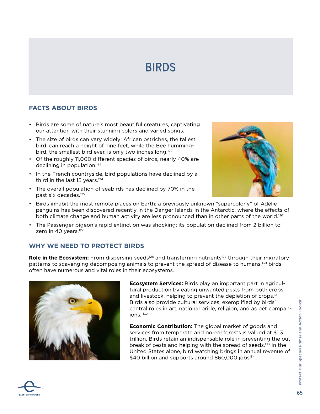 Facts About Birds Why We Need to Protect Birds