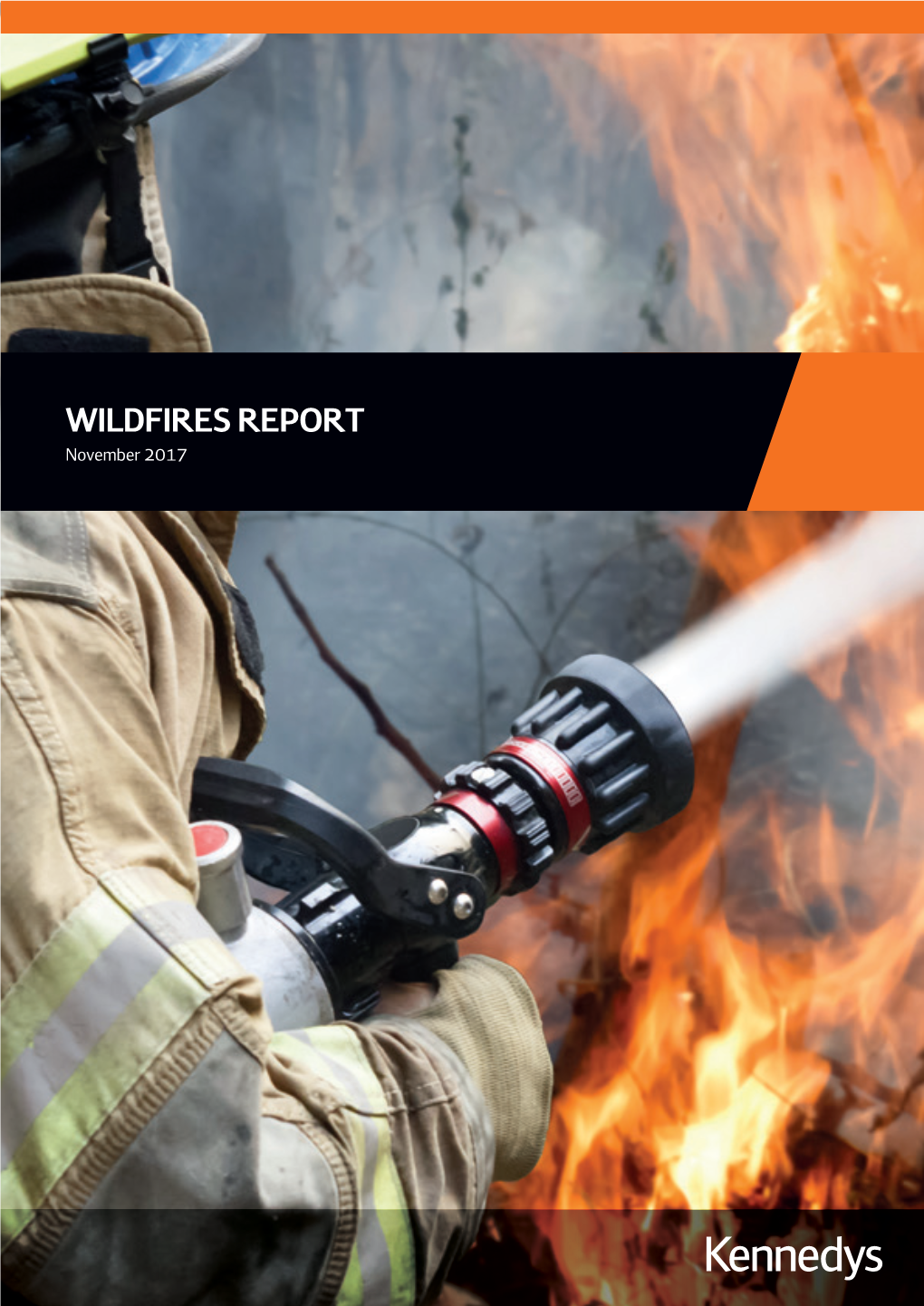 WILDFIRES REPORT November 2017
