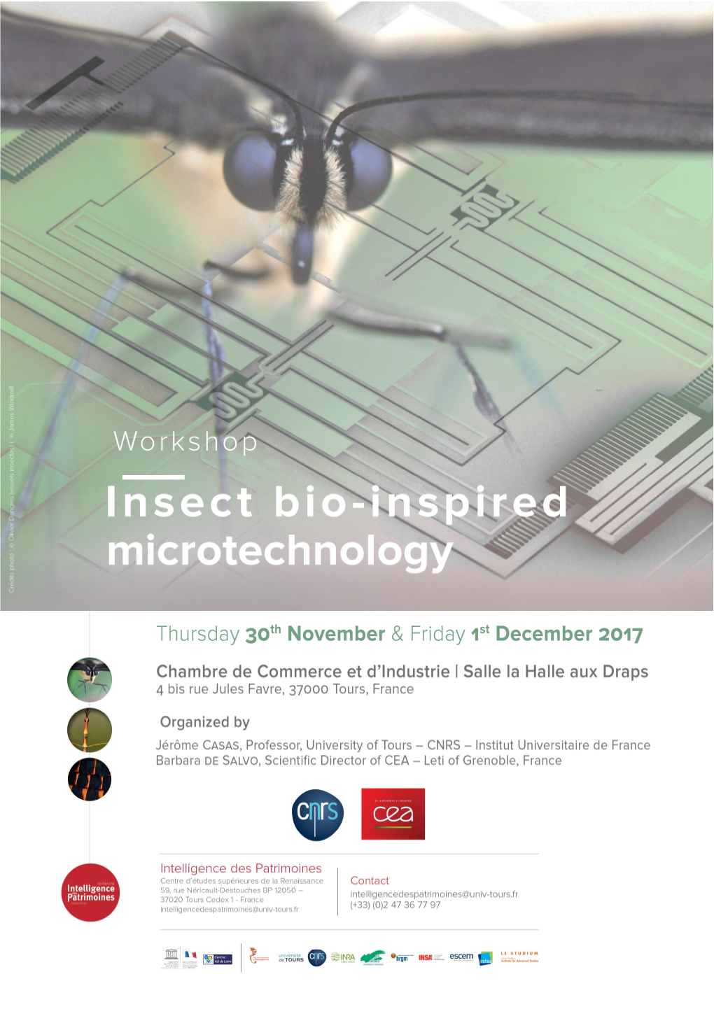 Insect Bio-Inspired Microtechnology