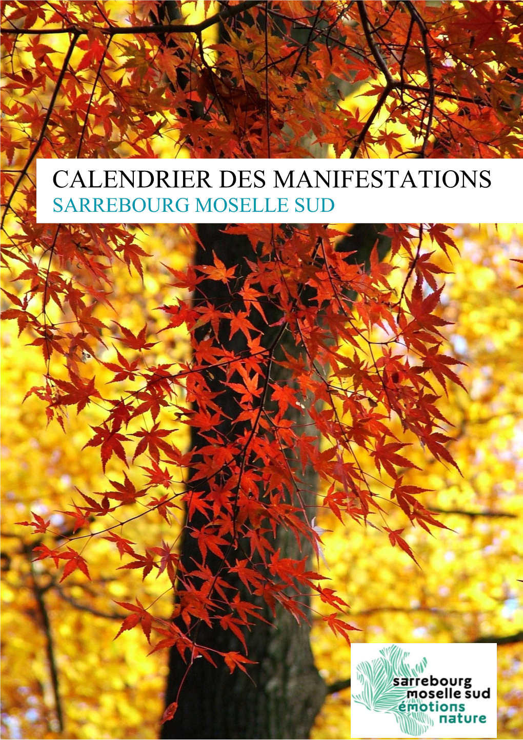 Calendrier Des Manifestations Sarrebourg Moselle Sud