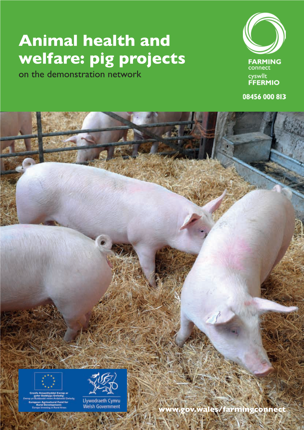 Animal Health and Welfare: Pig Projects on the Demonstration Network