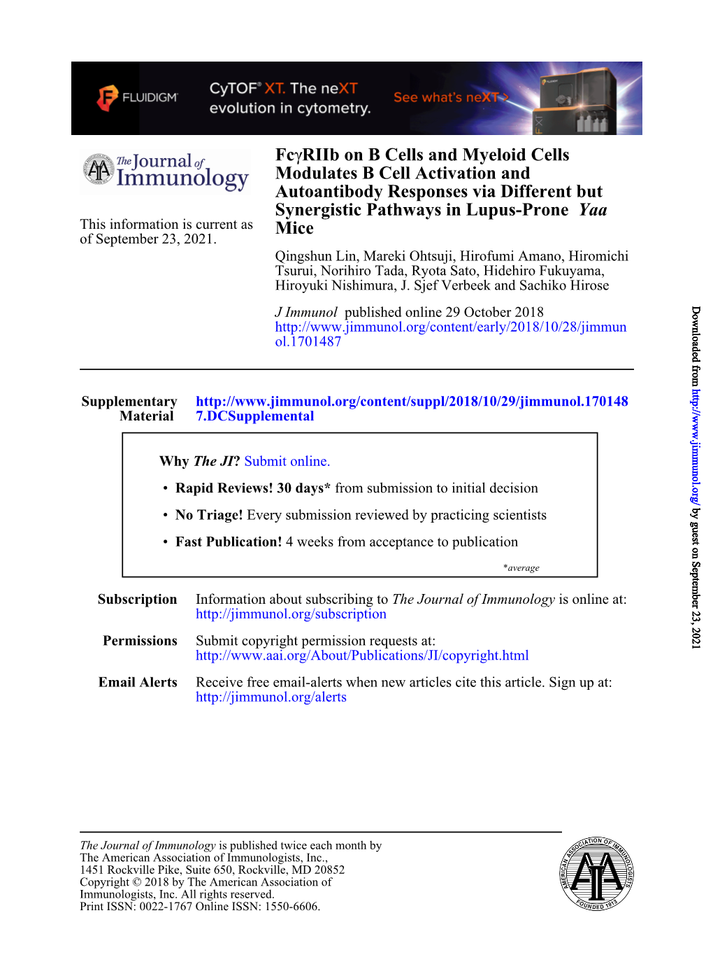 Fcγriib on B Cells and Myeloid Cells Modulates B Cell Activation And