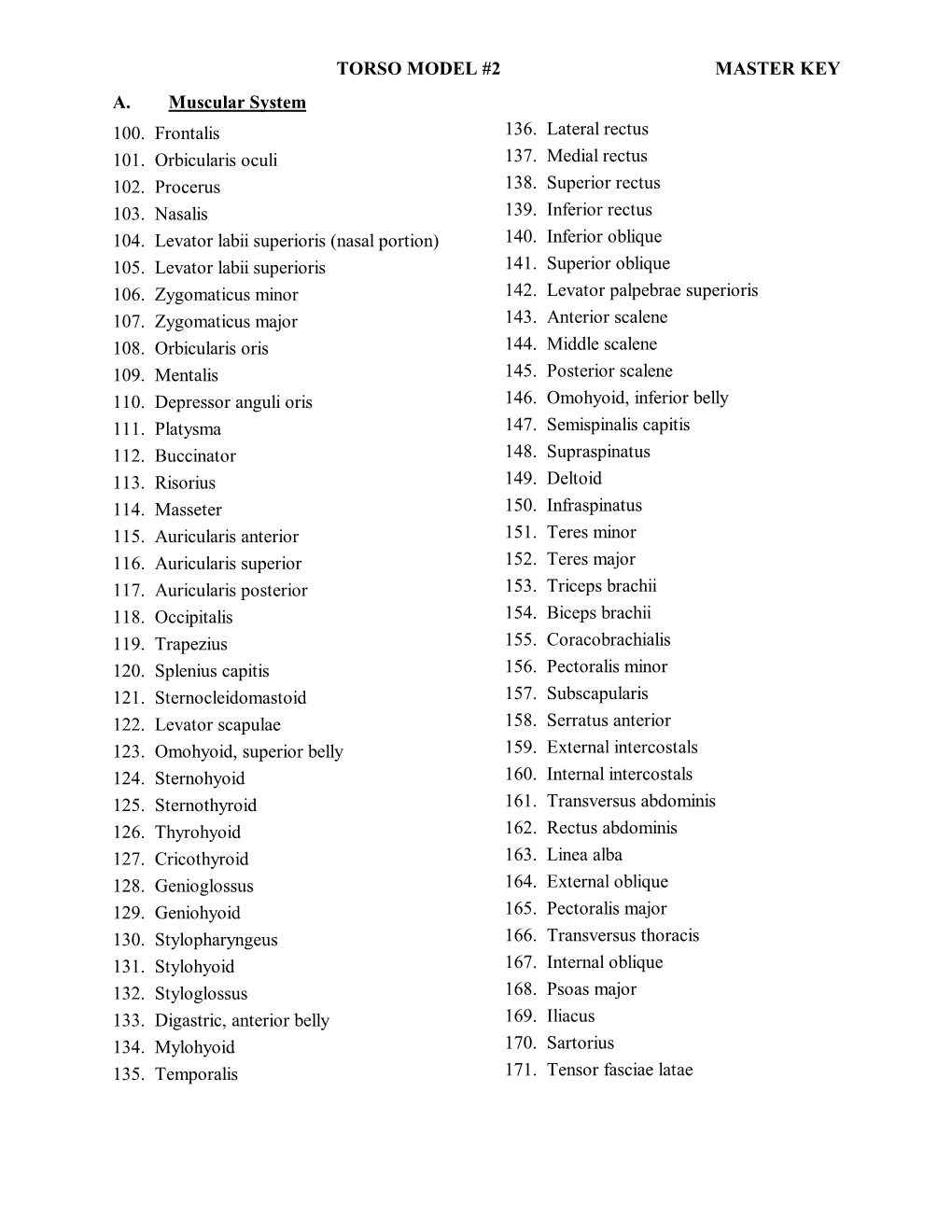 TORSO MODEL #2 MASTER KEY A. Muscular System 100. Frontalis 101