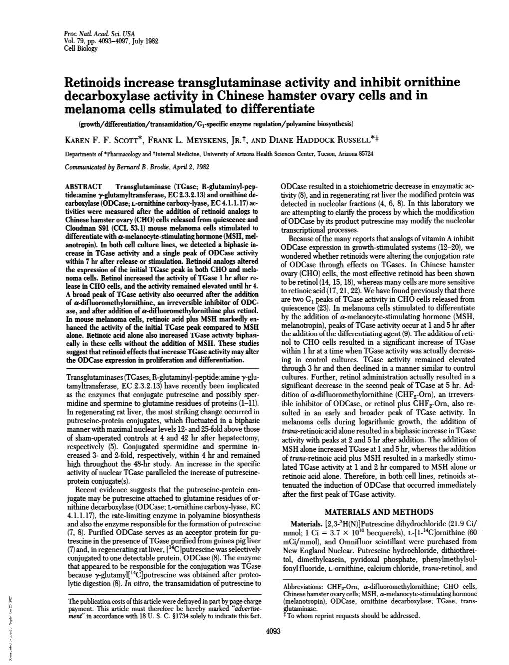 Retinoids Increase Transglutaminase Activity Andinhibit Ornithine