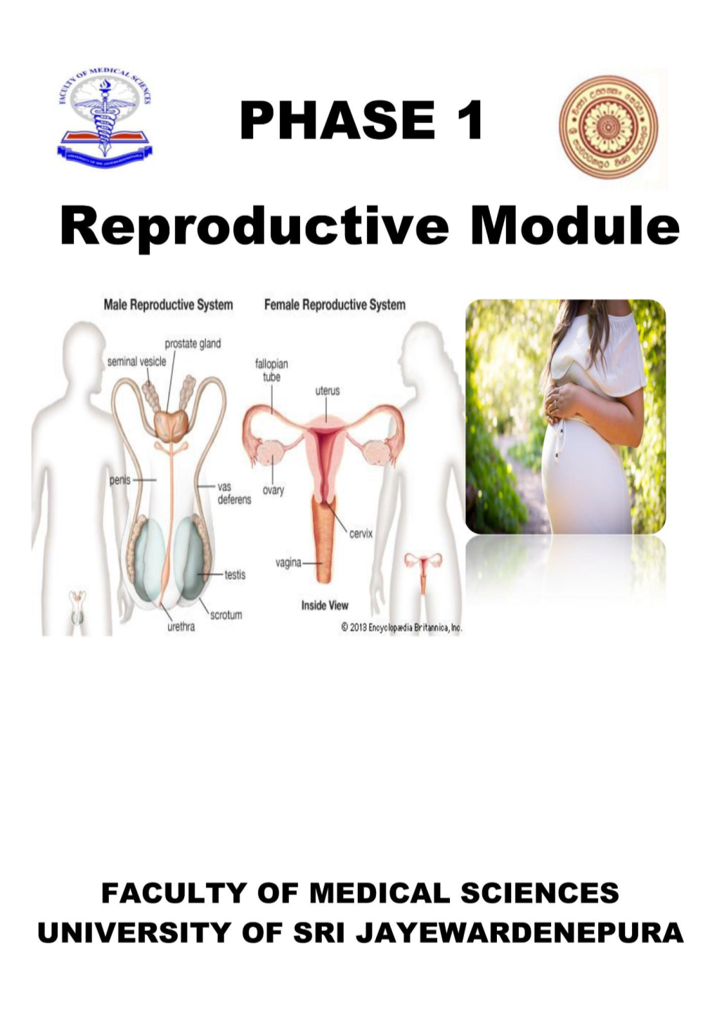 Reproductive Module - Phase I