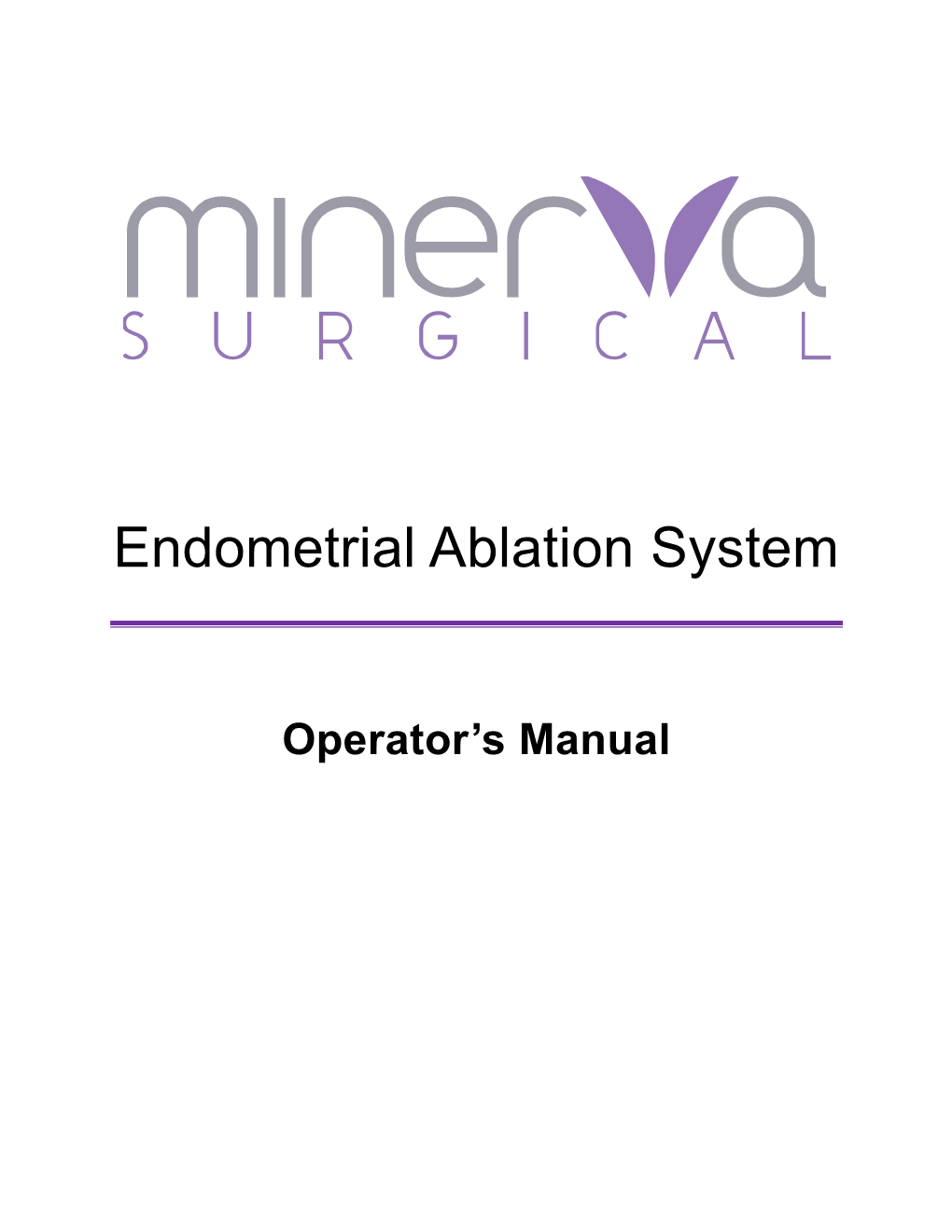 Endometrial Ablation System