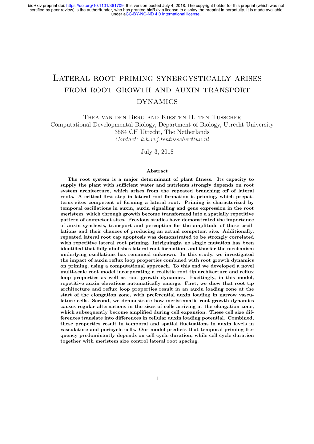 Lateral Root Priming Synergystically Arises from Root Growth and Auxin Transport Dynamics