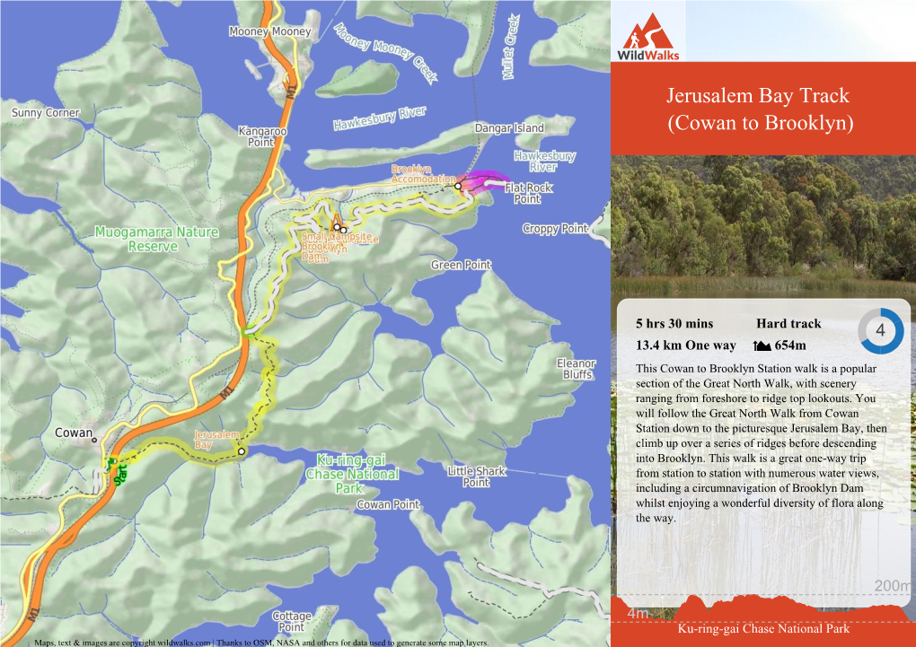 Jerusalem Bay Track (Cowan to Brooklyn)