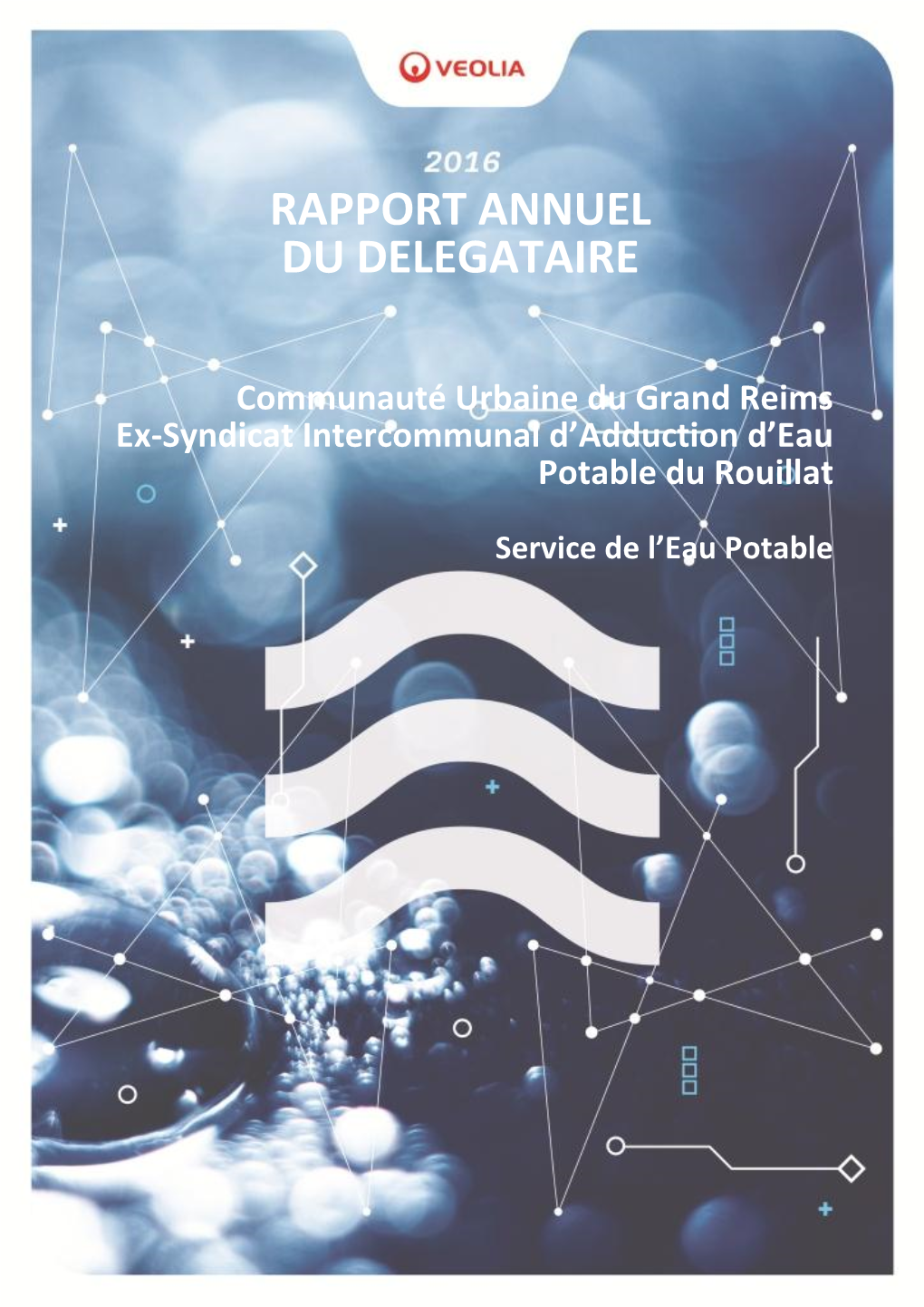 Rapport Annuel Du Delegataire