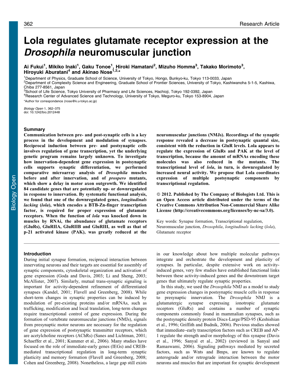 Lola Regulates Glutamate Receptor Expression at the Drosophila Neuromuscular Junction